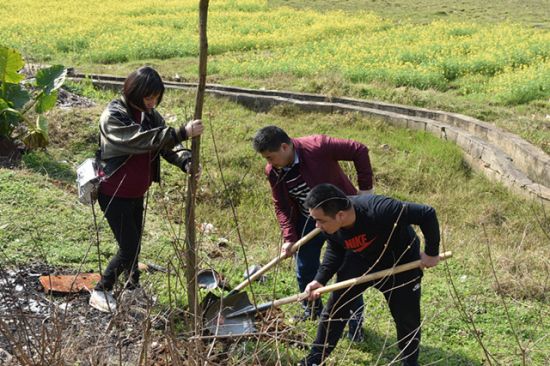 党建带团建，四塘植树造林惠民生