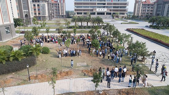 树常青，情常在——记北部湾大学2019年“毕业树”捐植活动