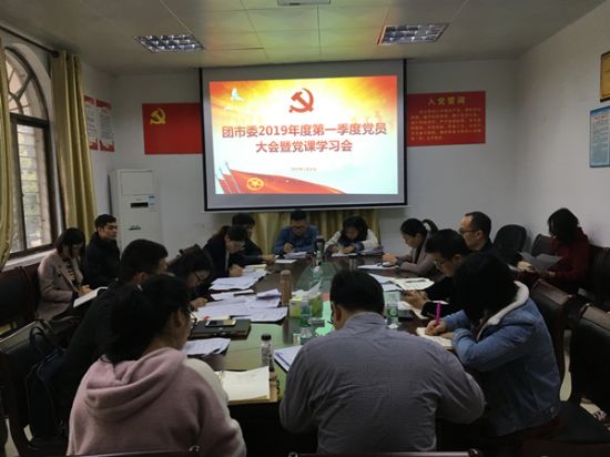 团市委党总支积极开展2019年第一季度党课学习