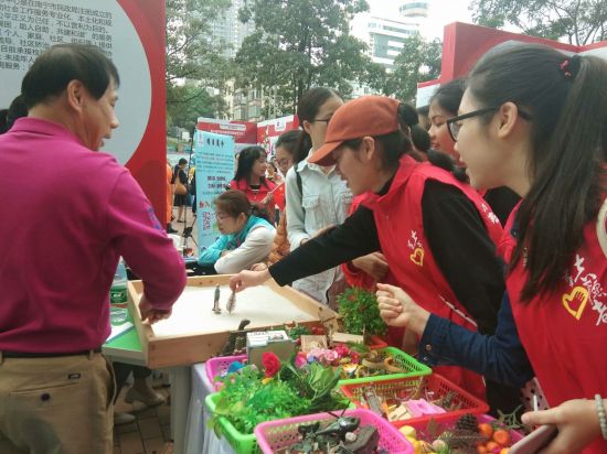 雷锋精神永流传——广西民族大学管理学院雨露服务分队应邀出席南宁市第四届志交会
