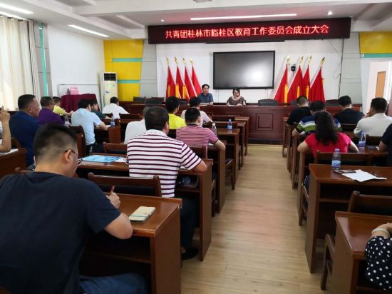 加强团教合作临桂区团教工作迈上新台阶