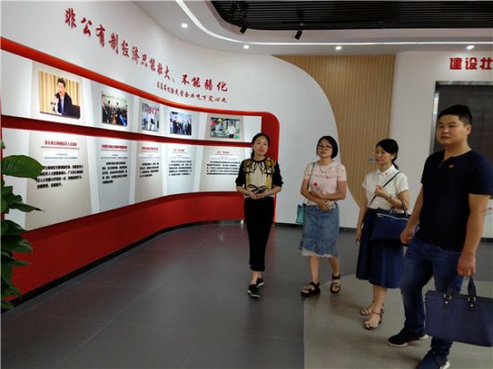 团区委党支部开展“不忘初心 牢记使命”党日活动