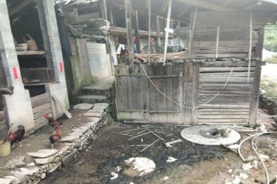 广西师范大学“绘梦乡村”小队走进苗族乡,积极助推乡村人居环境改善