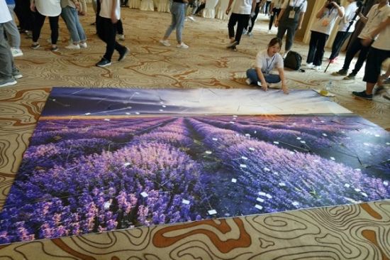 初遇云花,邂逅昆明:广西师范大学七里香团队参加全国大学生昆明暑期社会实践专项活动