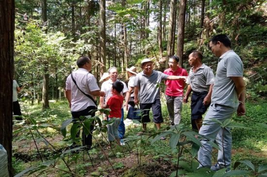 广西师范大学青马班成员随驻村第一书记下乡走访，探析脱贫成效