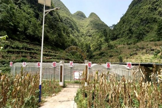 深入扶贫第一线，走访扶贫知心人——广西师范大学广西驻村第一书记扶贫调研小组深入乡村调研