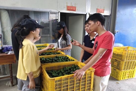 广西师范大学职业技术师范学院调查研究团队开展小青柑茶加工业调查研究