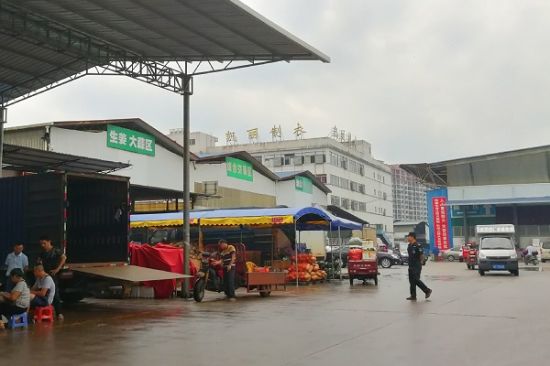 广西师范大学文学院/新闻与传播学院调研团队对桂林城区公共领域语言生活现状展开实践活动