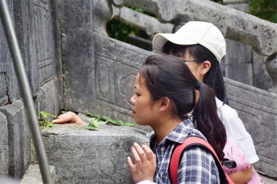 广西师范大学王城校区植物物种多样性调查及植物挂牌社会实践活动正式启动