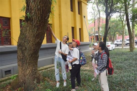 广西师范大学王城校区植物物种多样性调查及植物挂牌社会实践活动正式启动