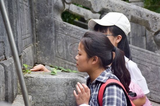 广西师范大学王城校区植物物种多样性调查及植物挂牌社会实践活动正式启动