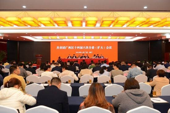 广西师范大学在共青团广西区十四届六次全委（扩大）会议上 作典型发言