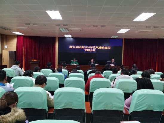 隆安县团委认真抓基层团委述职评议推进从严治团工作基础