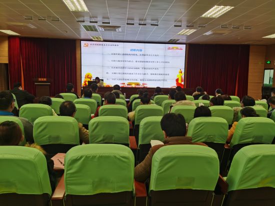 隆安县团委认真抓基层团委述职评议推进从严治团工作基础