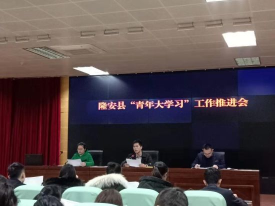 隆安县团委认真抓基层团委述职评议推进从严治团工作基础