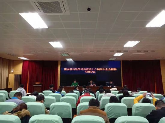 隆安县团委认真抓基层团委述职评议推进从严治团工作基础