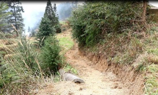 柳州融水团县委：弘扬雷锋精神 助力脱贫攻坚