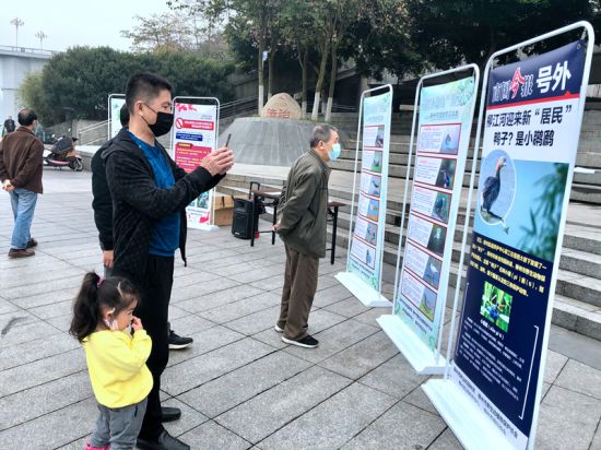 同在地球上 共享大自然