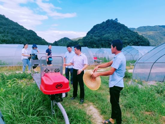 团市委调研组到灌阳县开展调研活动