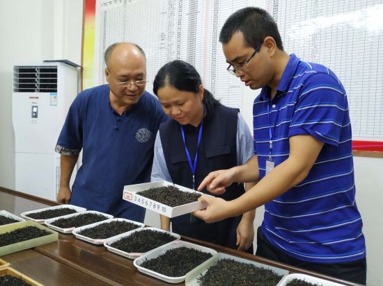 兴业团委:2020年兴业县力助脱贫攻坚职业技能大赛茶叶加工工技能竞赛圆满落幕