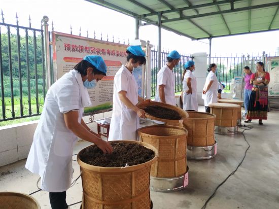 兴业团委:2020年兴业县力助脱贫攻坚职业技能大赛茶叶加工工技能竞赛圆满落幕