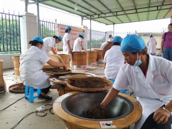兴业团委:2020年兴业县力助脱贫攻坚职业技能大赛茶叶加工工技能竞赛圆满落幕