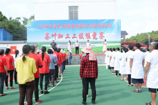 兴业团委:2020年兴业县力助脱贫攻坚职业技能大赛茶叶加工工技能竞赛圆满落幕