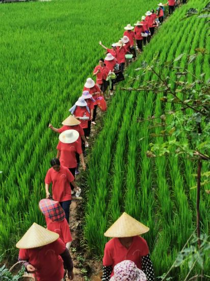 兴业团委:2020年兴业县力助脱贫攻坚职业技能大赛茶叶加工工技能竞赛圆满落幕