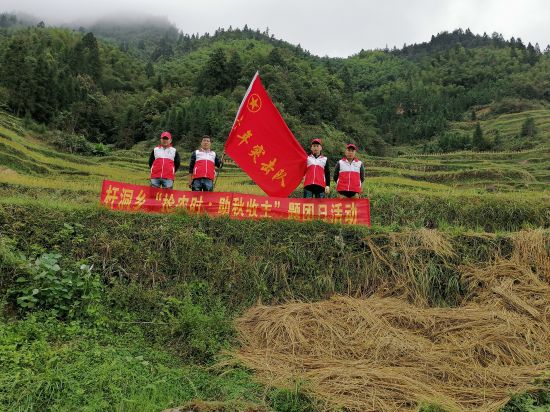 融水县杆洞乡广大团员干部齐心协做好 秋粮抢收