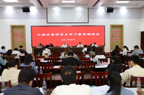 北海共青团召开党史学习教育推进会