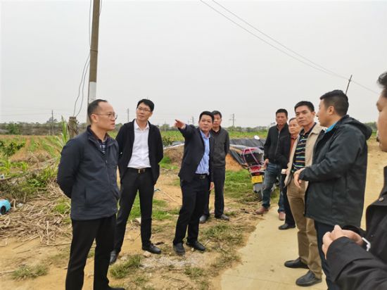 乡村振兴 产业先行——北海团市委助力农业项目招商